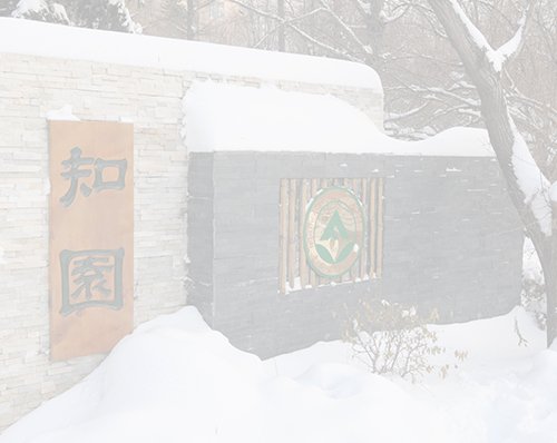 由bob手机网页登录入口国际合作与交